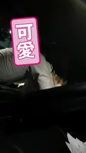 车震少妇，中途接老公电话，叫声好听。